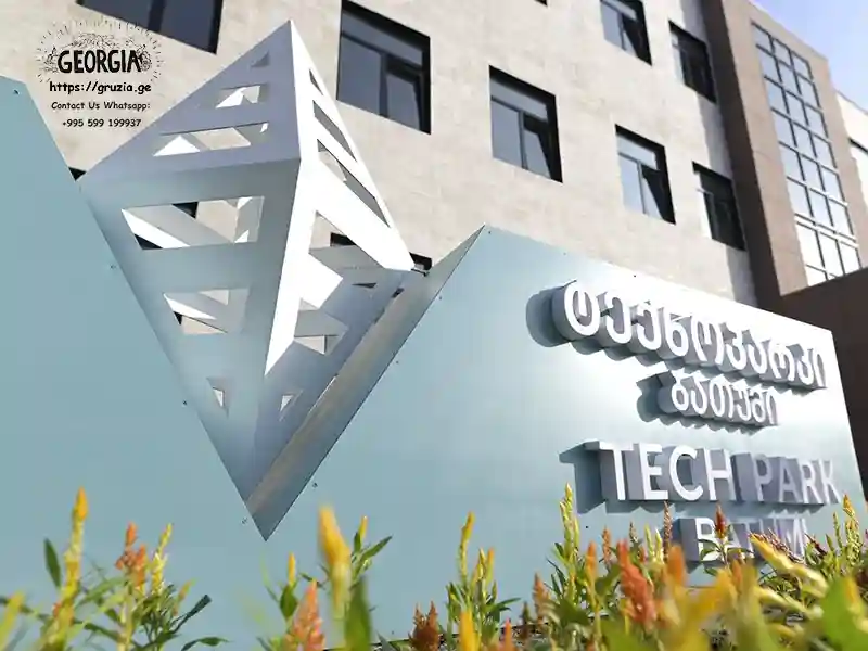 IT и фриланс в Грузии