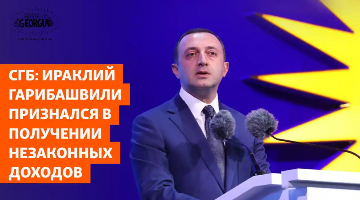 В чём обвиняют экс премьера Грузии Иракли Гарибашвили?
