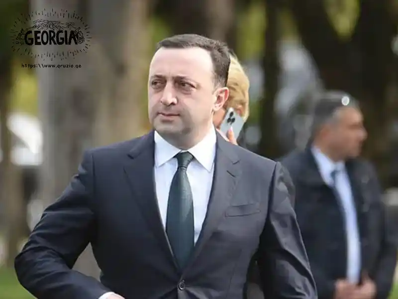 В чём обвиняют экс премьера Грузии Иракли Гарибашвили?